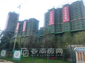 昆明聯(lián)想科技城與昆明頂播科技 數(shù)字創(chuàng)新雙引擎驅(qū)動(dòng)區(qū)域發(fā)展